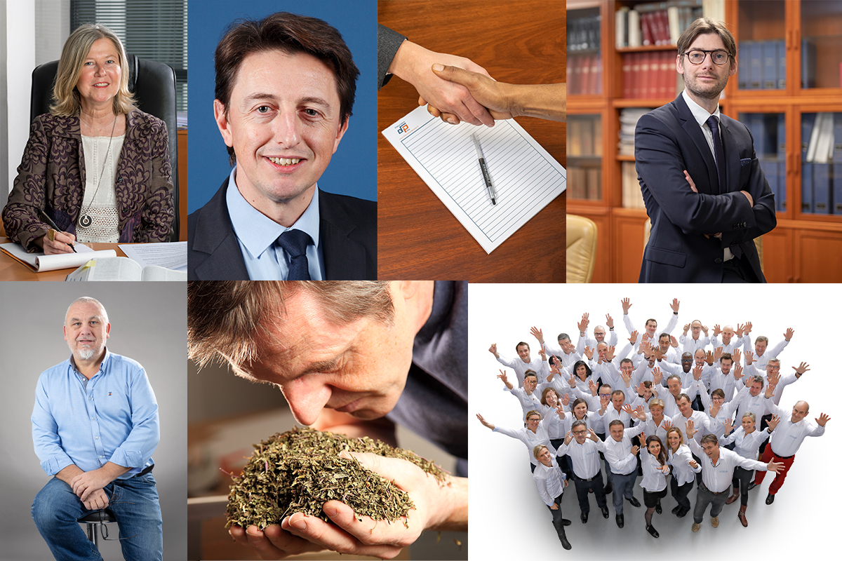 PlancheReportageEntreprises2